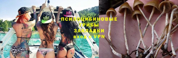 гашик Красноперекопск